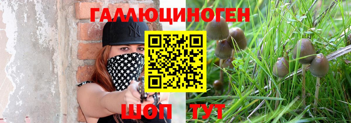 Борисоглебск  Галлюциногенные грибы Psilocybe  Вход с VPN 